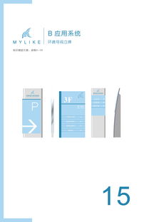 重塑美麗定義，傳遞專業(yè)信賴——美萊醫(yī)療美容醫(yī)院企業(yè)形象設(shè)計(jì)與策劃